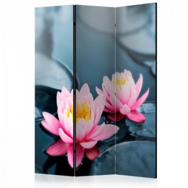 Paravento - Lotus blossoms [Room Dividers] - 135x172