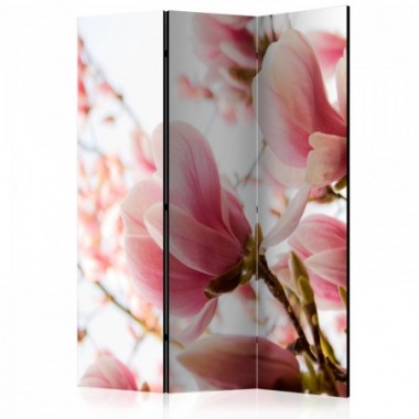 Paravento - Pink magnolia [Room Dividers] - 135x172