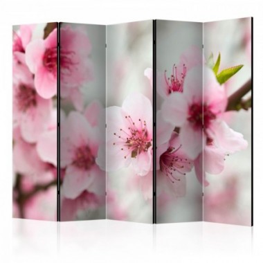 Paravento - Spring, blooming tree - pink flowers II...