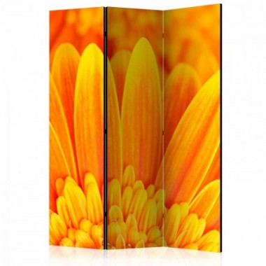 Paravento - Yellow gerbera daisies [Room Dividers] -...