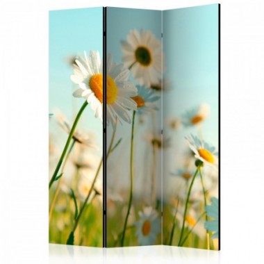 Paravento - Daisies - spring meadow [Room Dividers]...