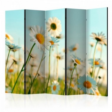 Paravento - Daisies - spring meadow II [Room...