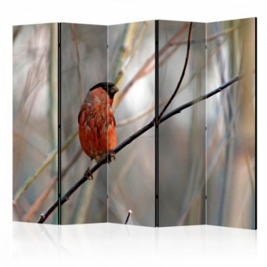 Paravento - Bullfinch in the forest II [Room...