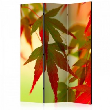 Paravento - Colourful leaves [Room Dividers] - 135x172