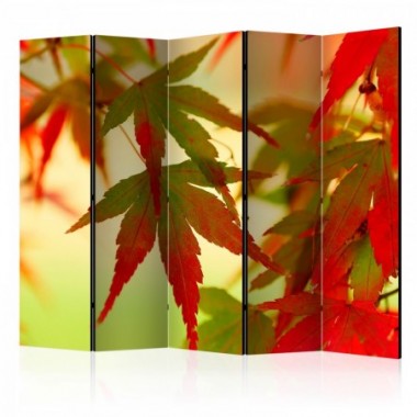 Paravento - Colourful leaves II [Room Dividers] -...