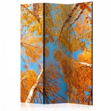 Paravento - Autumnal treetops [Room Dividers] - 135x172
