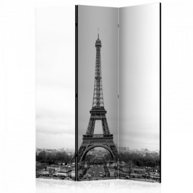Paravento - Paris: black and white photography [Room...