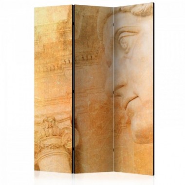 Paravento - Greek God [Room Dividers] - 135x172