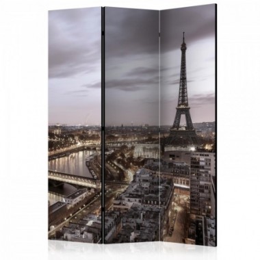 Paravento - Night in Paris [Room Dividers] - 135x172