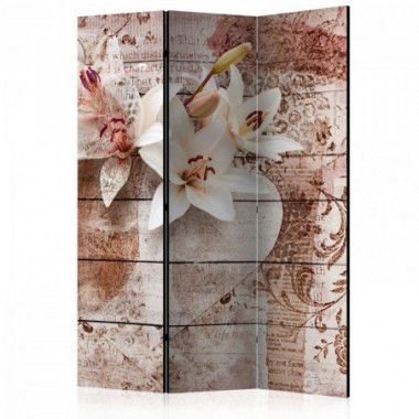 Paravento - Romantic Memories [Room Dividers] - 135x172