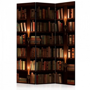 Paravento - Bookshelves [Room Dividers] - 135x172