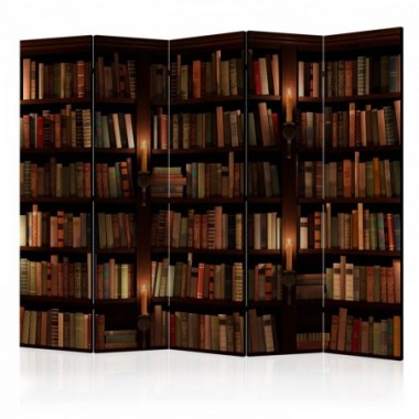 Paravento - Bookshelves II [Room Dividers] - 225x172