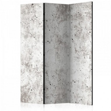 Paravento - Urban Style: Concrete [Room Dividers] -...