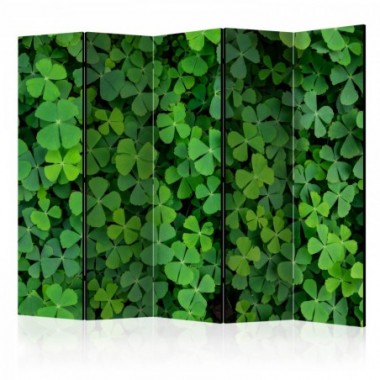 Paravento - Green Clover II [Room Dividers] - 225x172