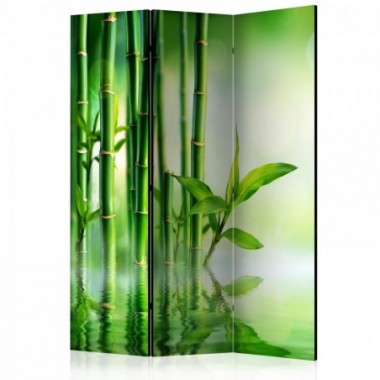 Paravento - Bamboo Grove [Room Dividers] - 135x172