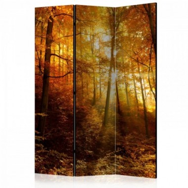 Paravento - Autumn Illumination [Room Dividers] -...