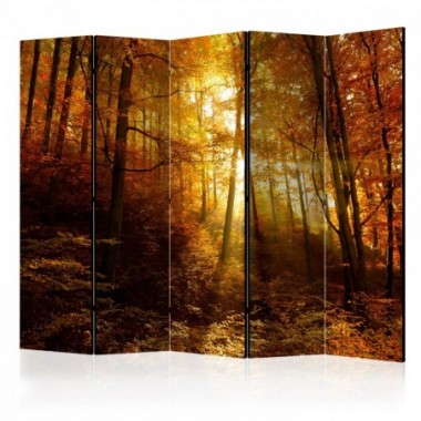 Paravento - Autumn Illumination II [Room Dividers] -...