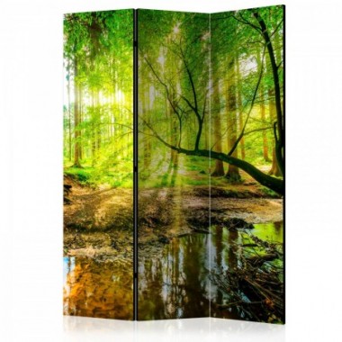 Paravento - Forest Stream [Room Dividers] - 135x172