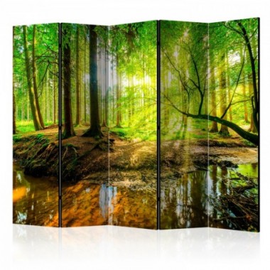 Paravento - Forest Stream II [Room Dividers] - 225x172