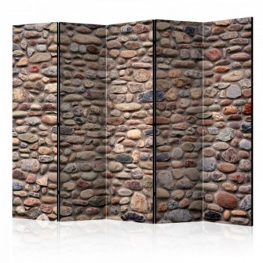 Paravento - Stony Varieties II [Room Dividers] -...