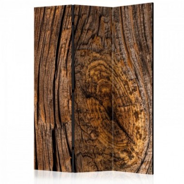 Paravento - Old Tree [Room Dividers] - 135x172