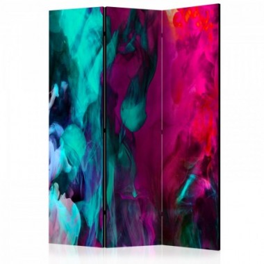 Paravento - Color madness [Room Dividers] - 135x172