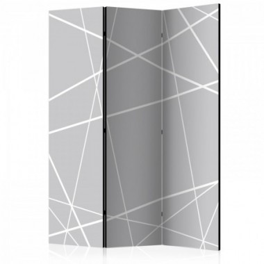 Paravento - Modern Cobweb [Room Dividers] - 135x172