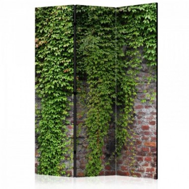 Paravento - Brick and ivy [Room Dividers] - 135x172