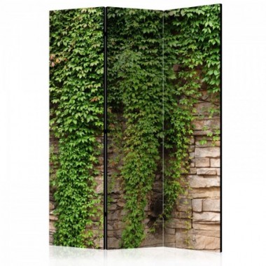 Paravento - Ivy wall [Room Dividers] - 135x172