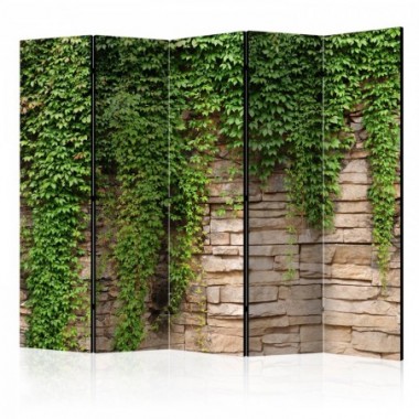 Paravento - Ivy wall II [Room Dividers] - 225x172