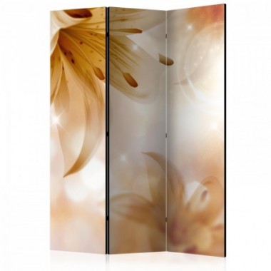 Paravento - Queens of Summer [Room Dividers] - 135x172