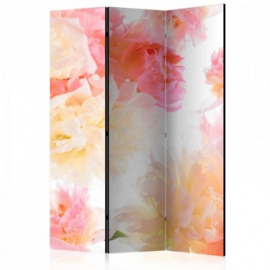 Paravento - Pastel peonies [Room Dividers] - 135x172