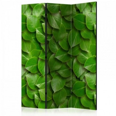 Paravento - Secret Garden [Room Dividers] - 135x172