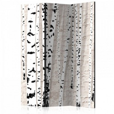 Paravento - Birchen Grove [Room Dividers] - 135x172