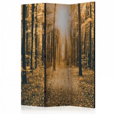 Paravento - Magical Light [Room Dividers] - 135x172