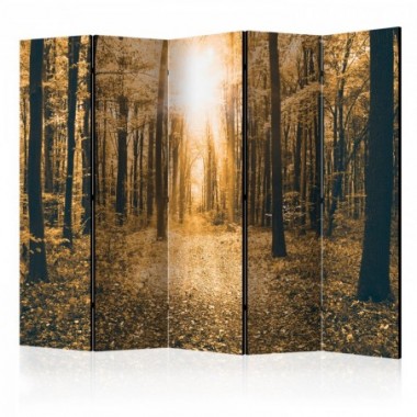 Paravento - Magical Light II [Room Dividers] - 225x172