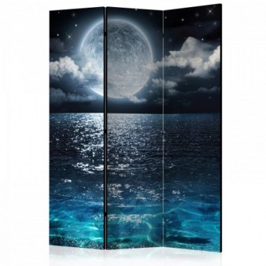 Paravento - Blue Lagoon [Room Dividers] - 135x172