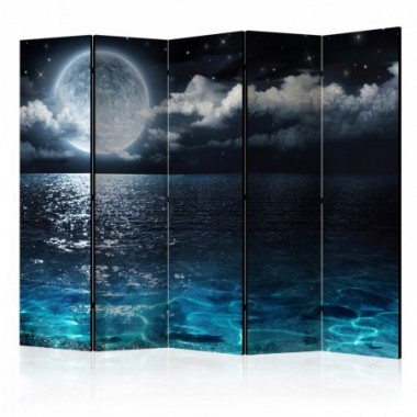 Paravento - Blue Lagoon II [Room Dividers] - 225x172