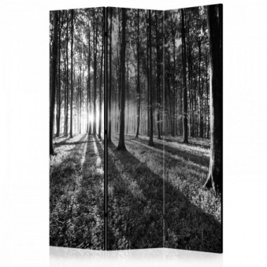Paravento - Grey Wilderness [Room Dividers] - 135x172
