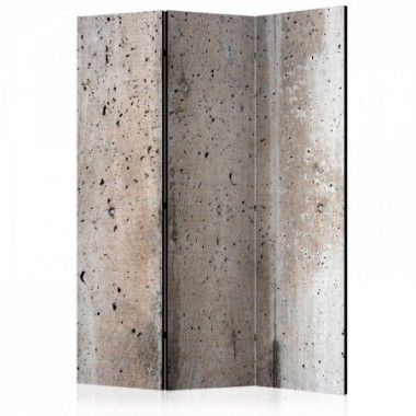 Paravento - Old Concrete [Room Dividers] - 135x172