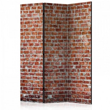Paravento - Red Rock [Room Dividers] - 135x172
