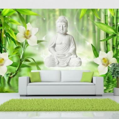 Fotomurale adesivo - Buddha e natura - 441x315