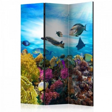 Paravento - Coral reef [Room Dividers] - 135x172