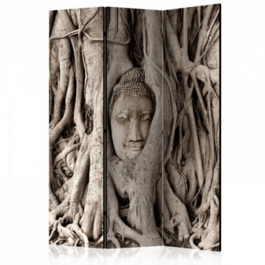 Paravento - Buddha's Tree [Room Dividers] - 135x172