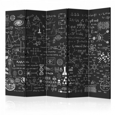 Paravento - Science on Chalkboard II [Room Dividers]...