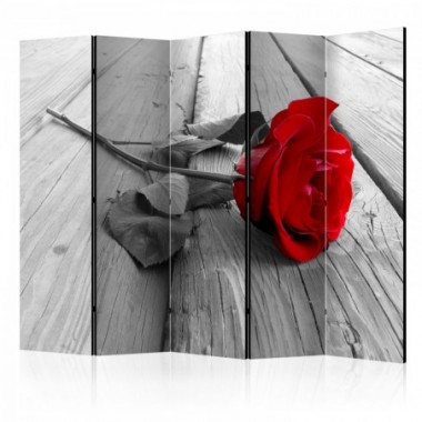 Paravento - Abandoned Rose II [Room Dividers] - 225x172