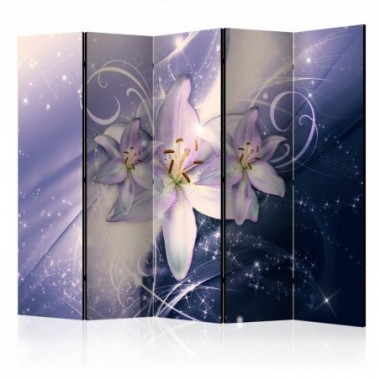 Paravento - Wintry Galaxy II [Room Dividers] - 225x172