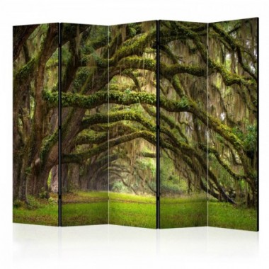 Paravento - Tree embrace II [Room Dividers] - 225x172