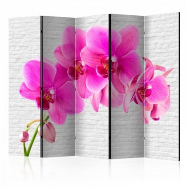 Paravento - Pink excitation II [Room Dividers] -...