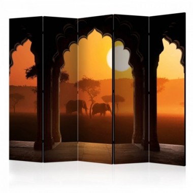 Paravento - Hear Africa II [Room Dividers] - 225x172